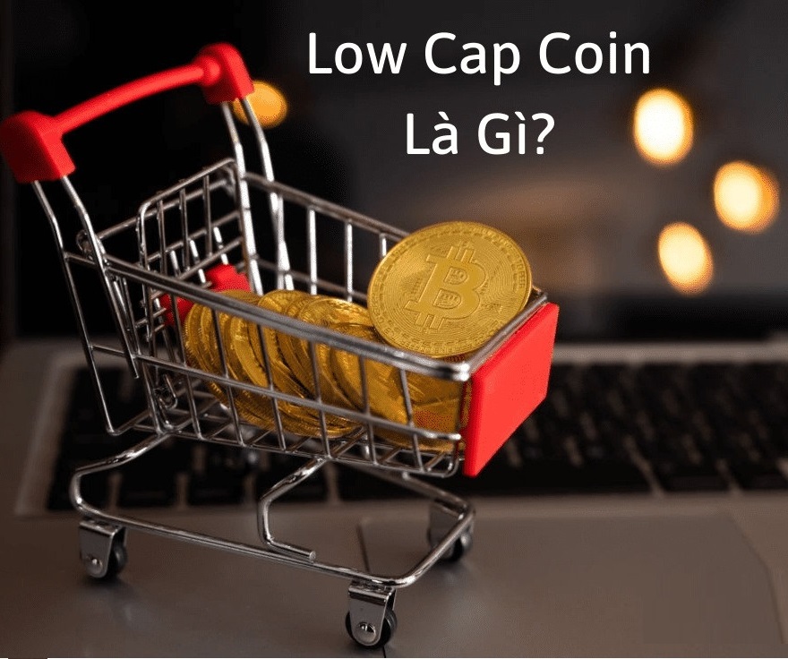 Low Cap Coin trong Crypto là gì? Đầu tư tiền điện tử 